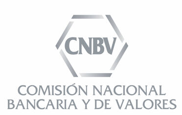 logo cnbv foro